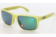 Oakley Holbrook Heaven&Earth Collection Polarised (OO9102-72 55mm) saules brilles