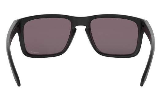 Oakley Holbrook (OO9102-E8 55mm) saules brilles