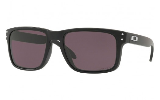 Oakley Holbrook (OO9102-E8 55mm) saules brilles