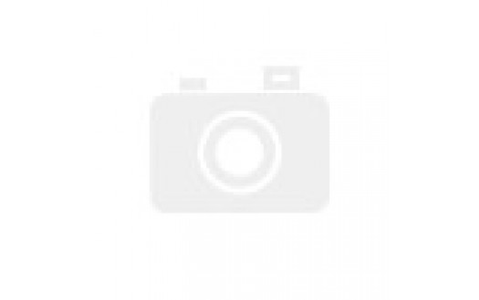 Ray-Ban Justin Classic Black (RB4165 601/71 55mm) saules brilles